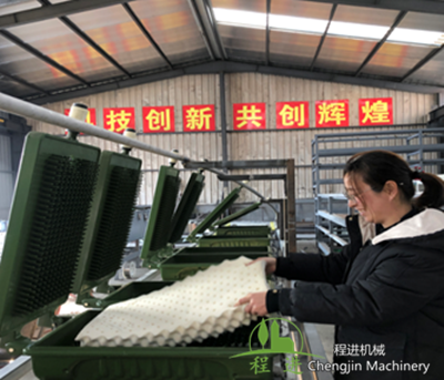 How to check and accept automatic latex pillow mechanical equipment